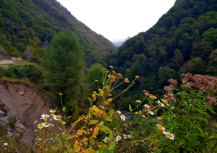 НА ГРАНИЦЕ С АБХАЗИЕЙ - Tata Wolf