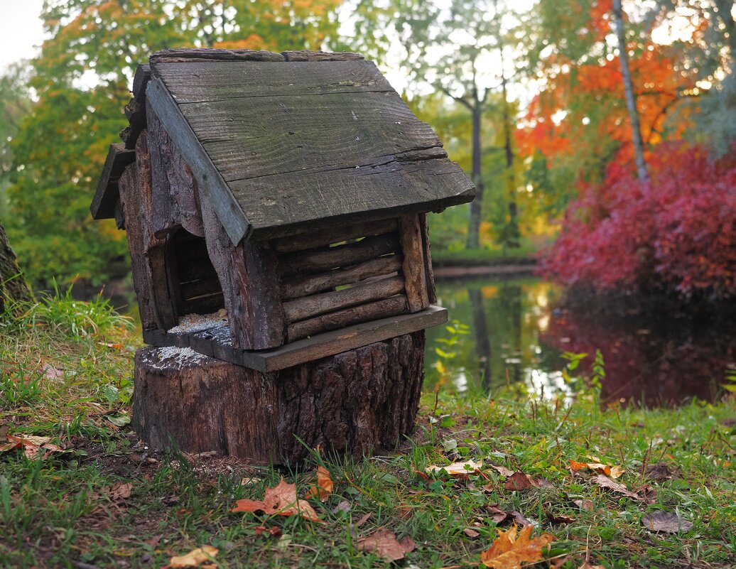 Кто в теремочке живёт? - Магомед .