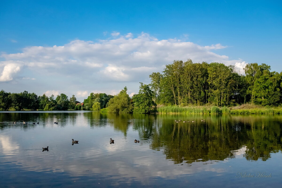 Тихий уголок... - Николай Гирш