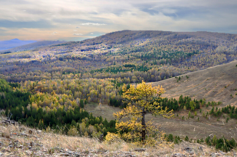 Хребет Нурали - Галина Ильясова