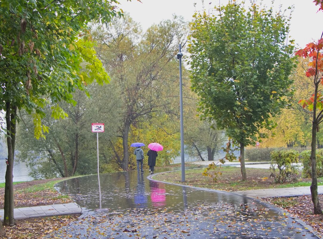 Прогулка под дождём! - Тамара Вебер