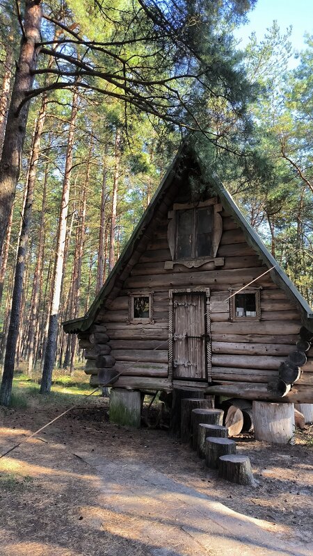 На орнитологической станции. - Ольга 