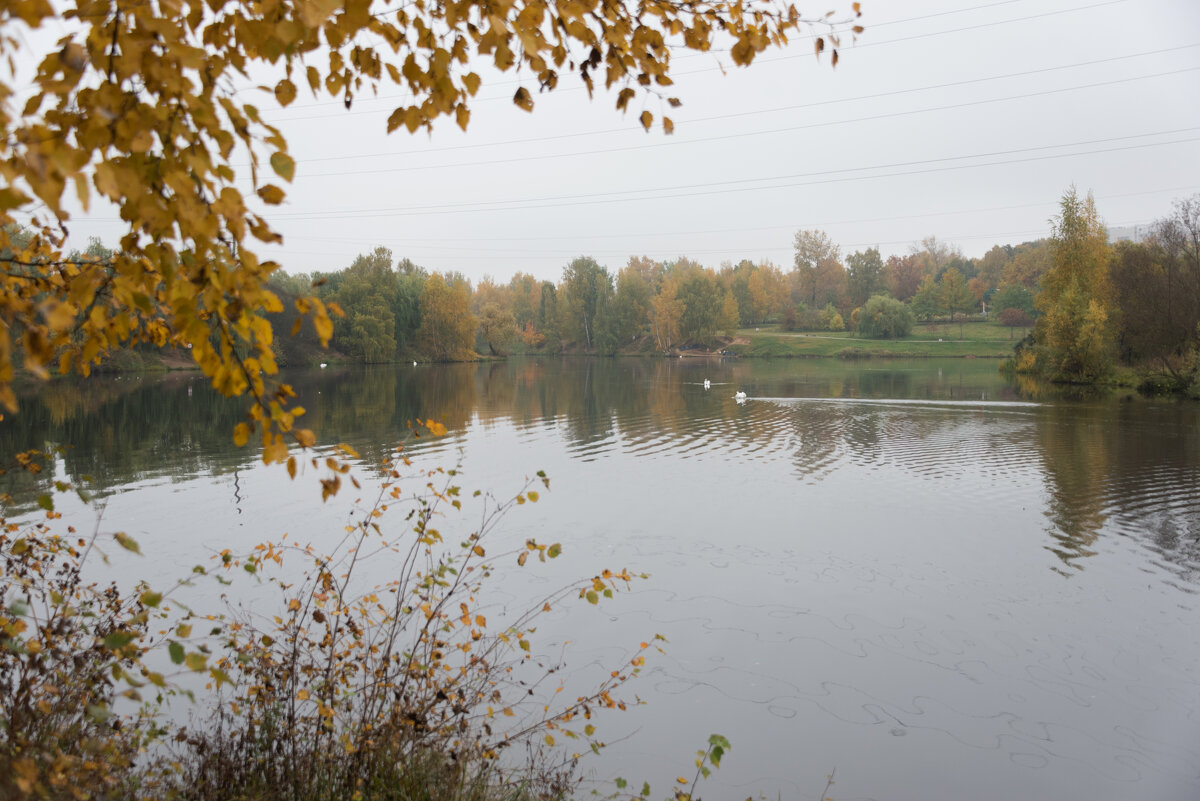 *** - Владимир Безбородов