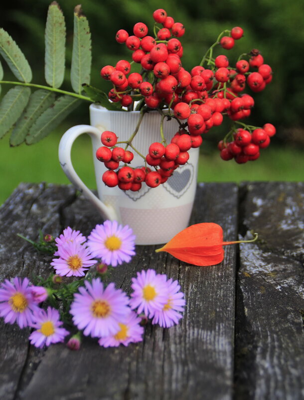 С веточкой рябины .. - Татьян@ Ивановна