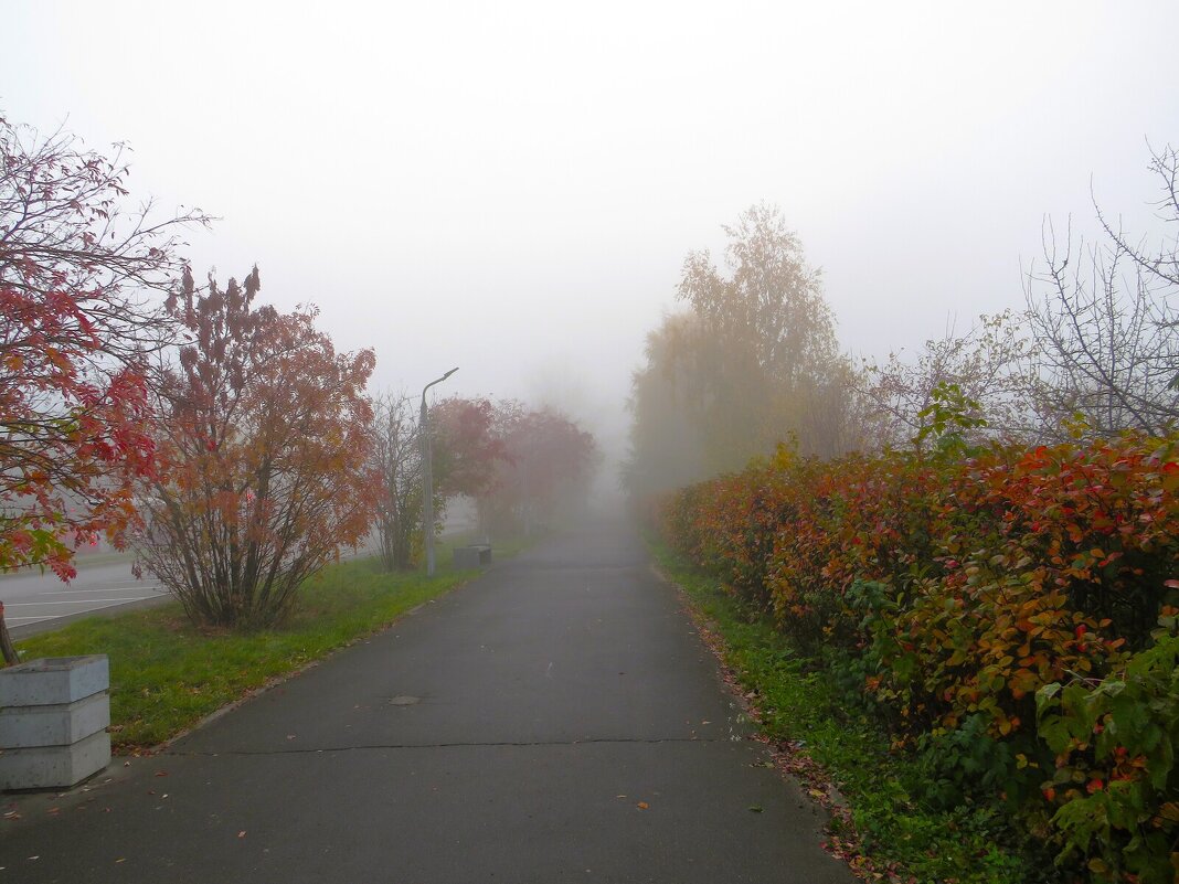 *** - Лариса С.