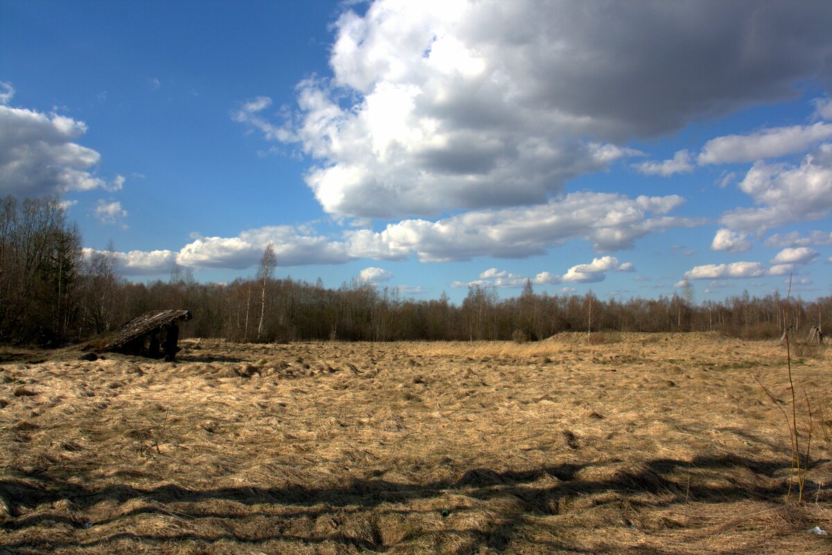 Колотушино - Артем 