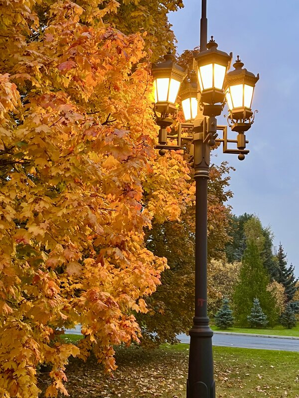 Нарисовано природой - Александр Конов