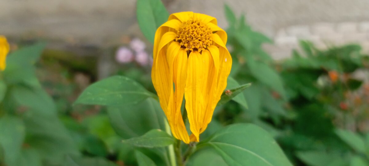 Грусть осени. - Михаил Колосов 