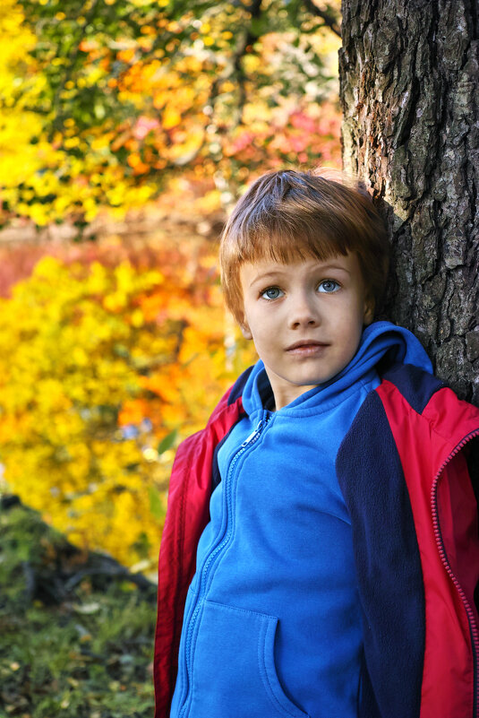 ... - ВЛАДИМИР 