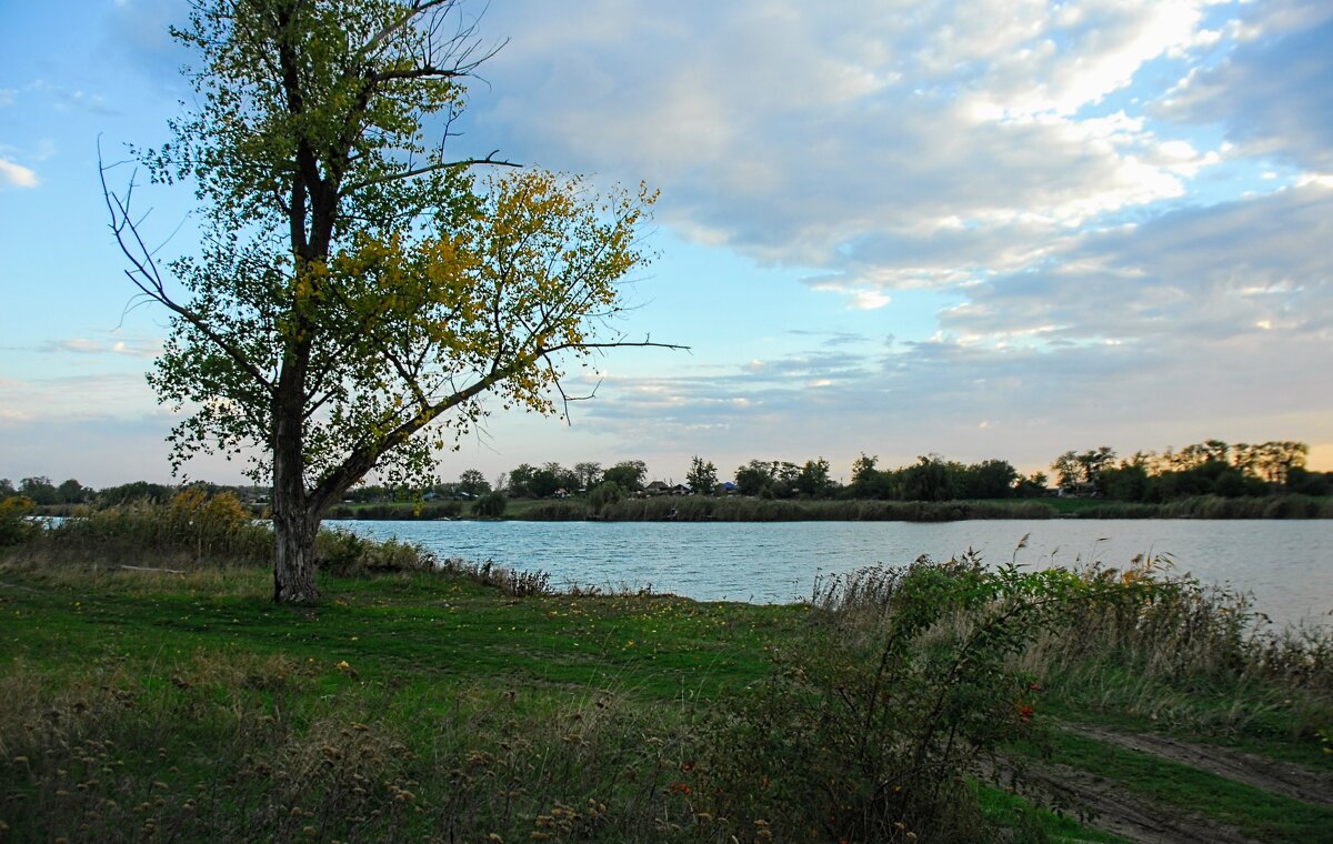 Октябрь. - Владимир Октябрь. - Владимир