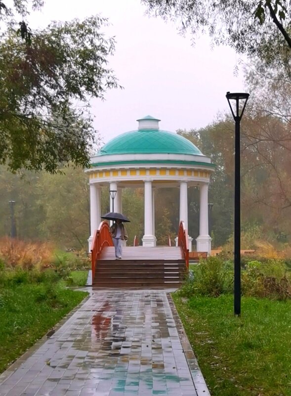 *** - Любимова Ольга 