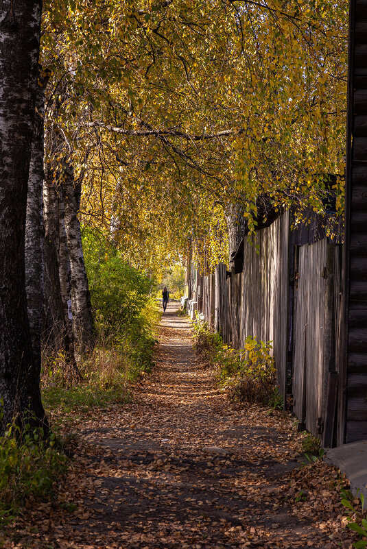 на тихих улочках Галича - Galina 