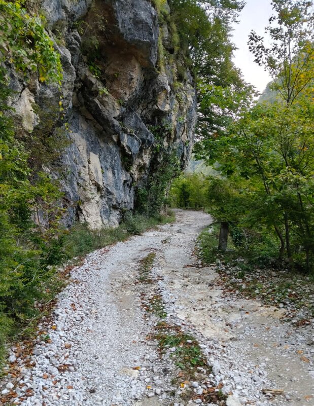 НА ГРАНИЦЕ С АБХАЗИЕЙ - Tata Wolf