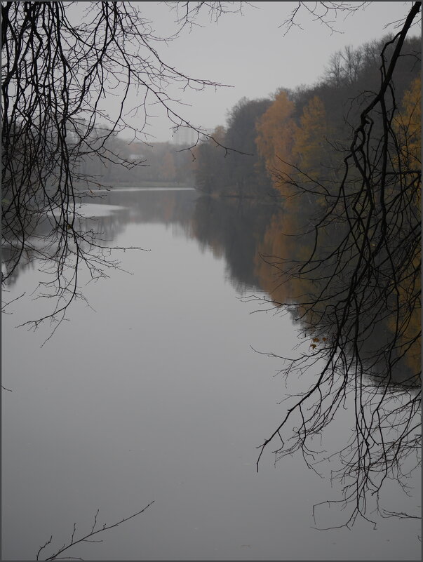 Октябрь - Наталья Rosenwasser