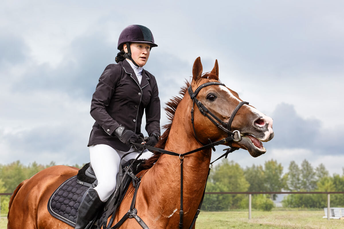 Конкур - SanSan 