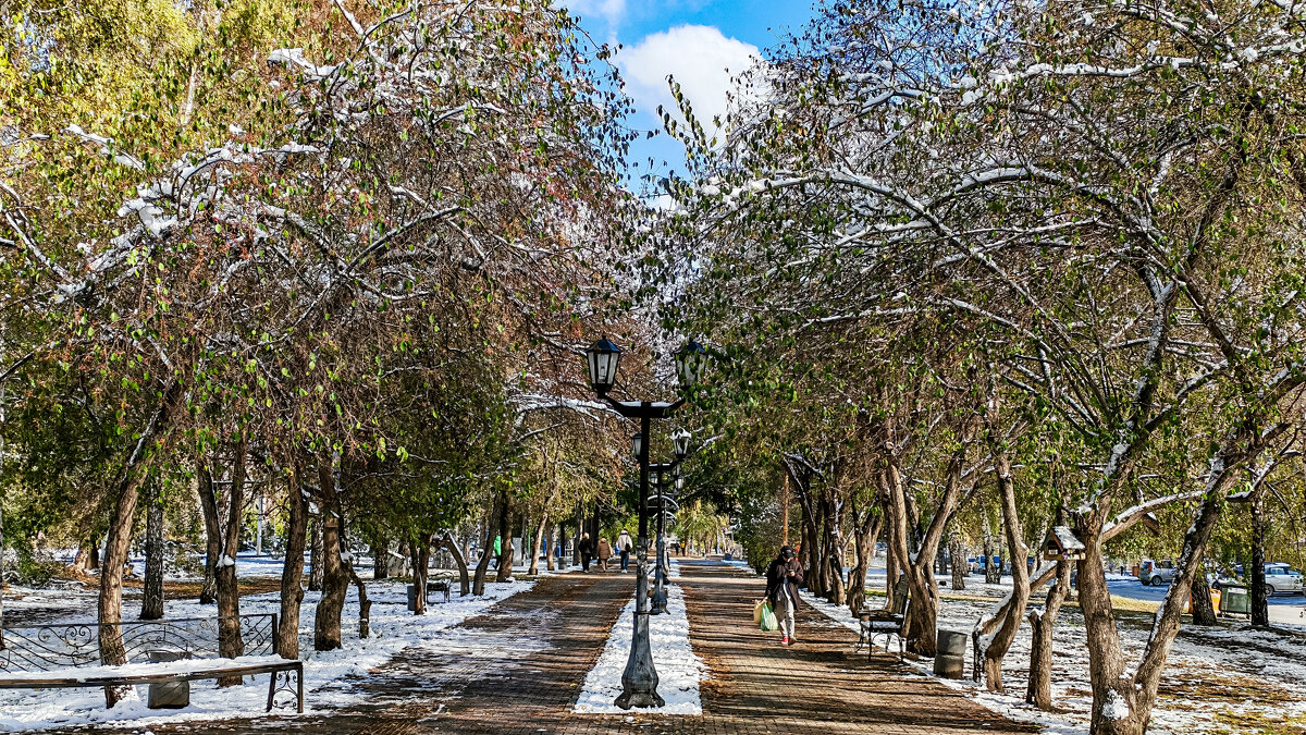 Осенний парк - Dmitry i Mary S