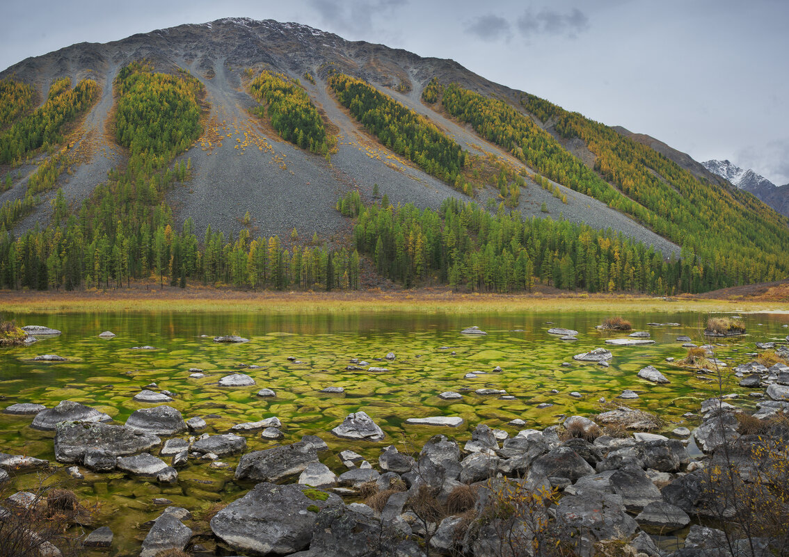 * - Александр Иванов