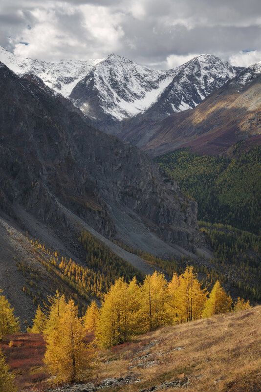 * - Александр Иванов