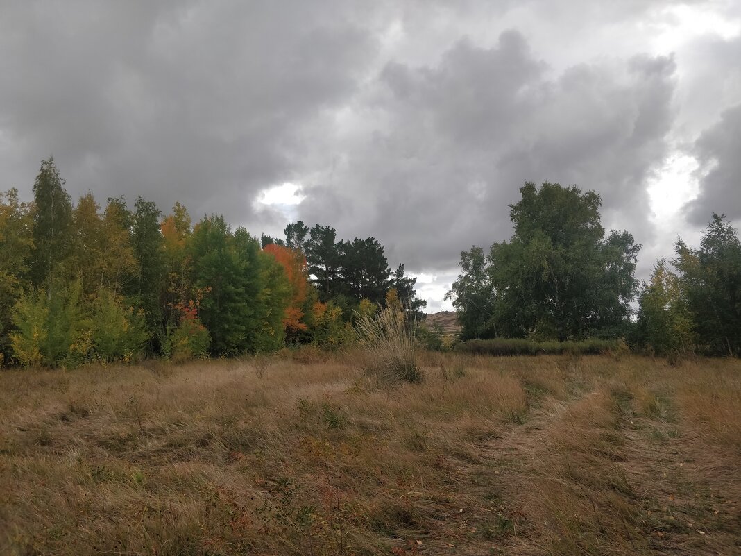 Дождь идет - Андрей Хлопонин