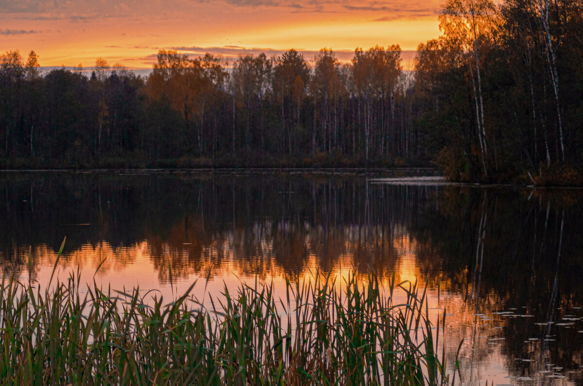 Октябрь - Александр Силинский