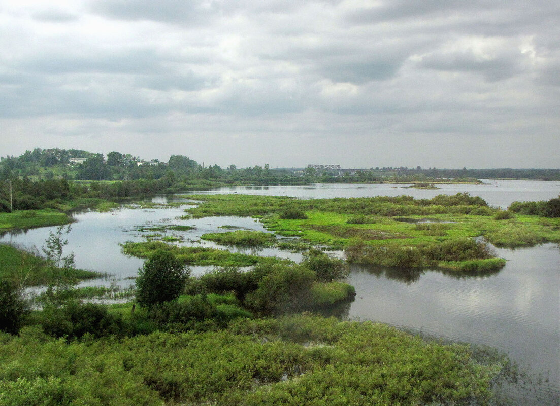 Река Шексна - Александр Ильчевский 