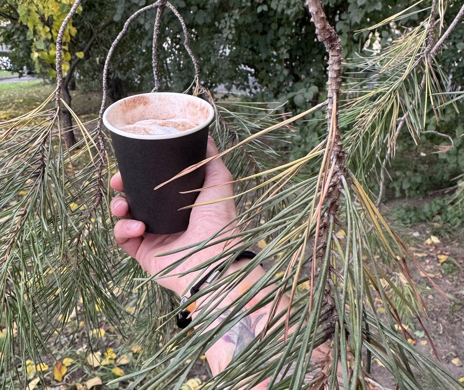 Дыхание свежести - Анна Камс