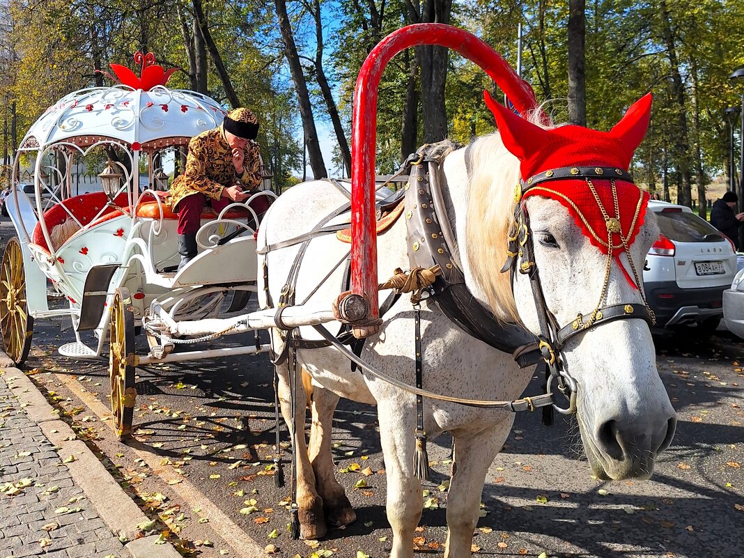Карета подана - Наталья 