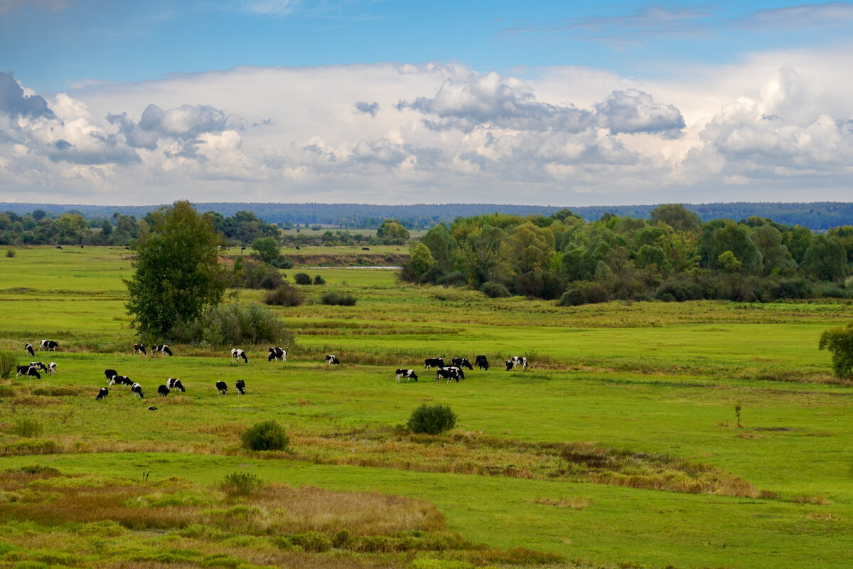 В сентябре - Игорь Сикорский