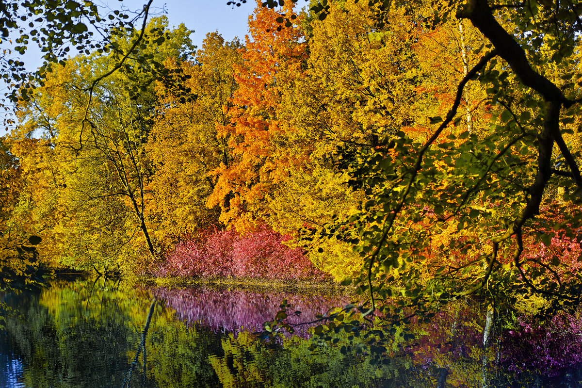 ... - ВЛАДИМИР 