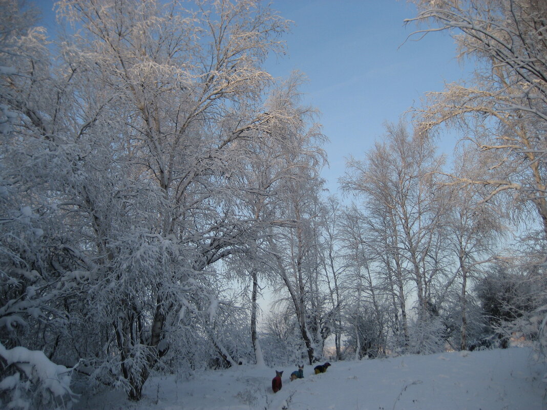 Зимние прогулки - Anna Ivanova