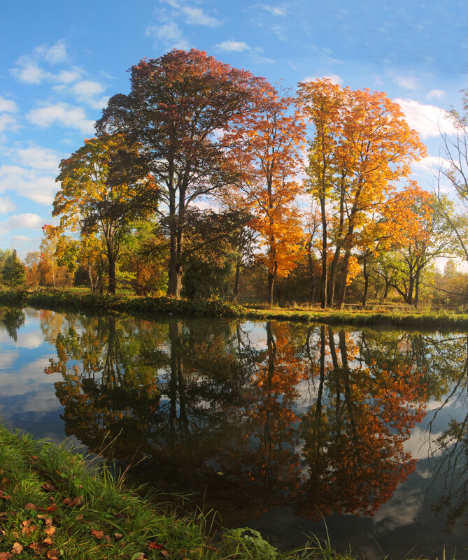*** - Сергей Григорьев