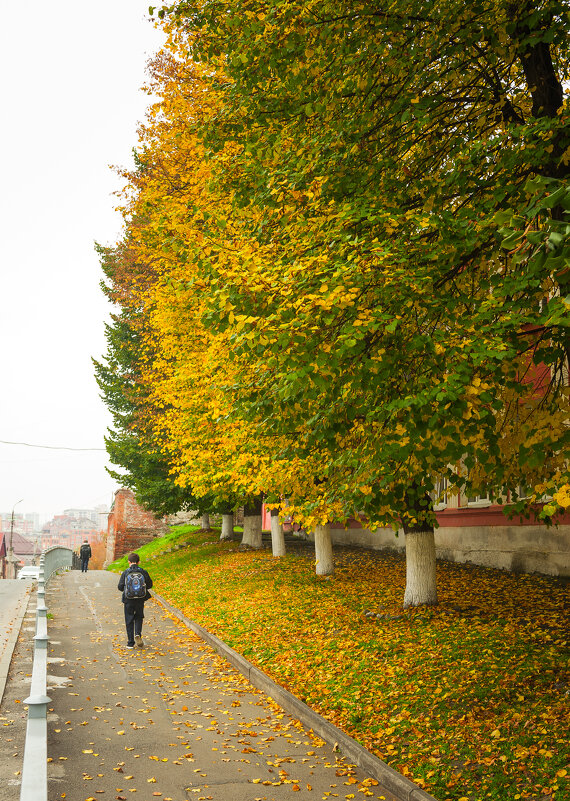 вот и осень пришла... - Батик Табуев