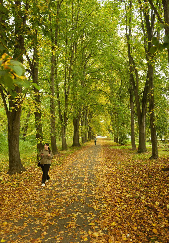 Улочки города - Батик Табуев