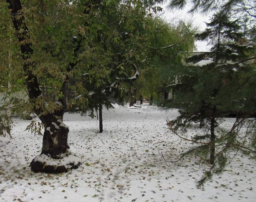 Парк. По дороге на остановку - Андрей Макурин Парк. По дороге на остановку - Андрей Макурин