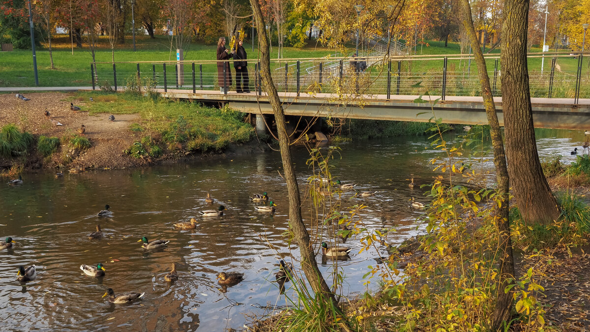 ***** - юрий поляков