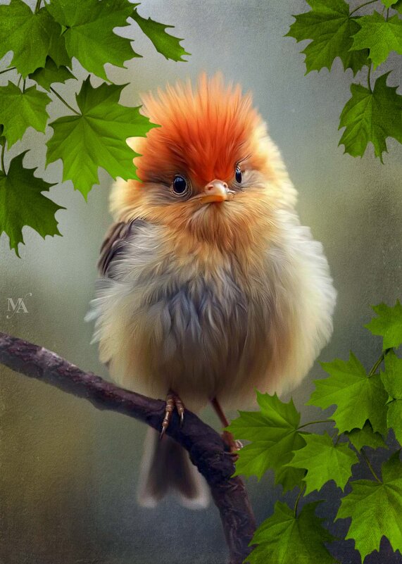 *** - Алена Малыш