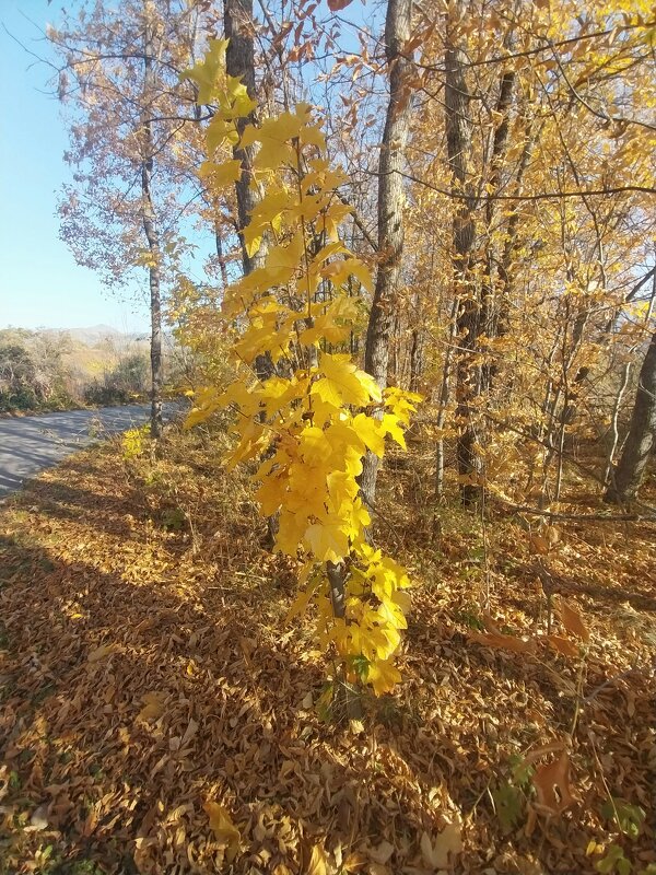 Талгар. - Murat Bukaev 