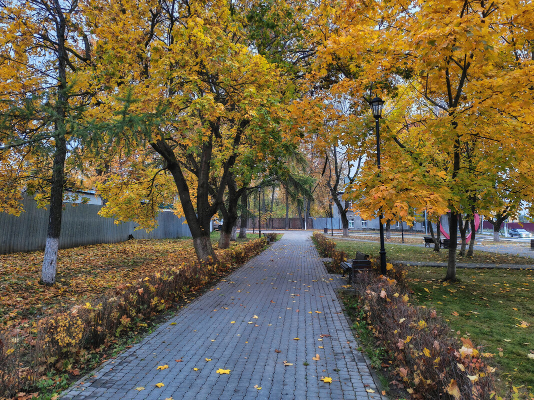 Александров / Сквер / Золотая осень - Денис Бочкарёв