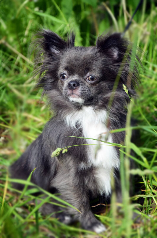 В дозоре - Евгений Васильев
