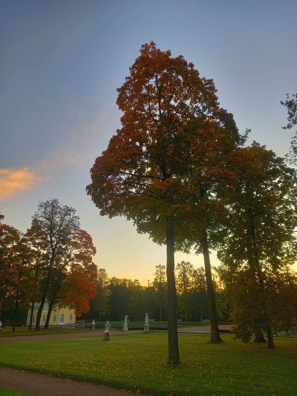 Рассвет - Сапсан 