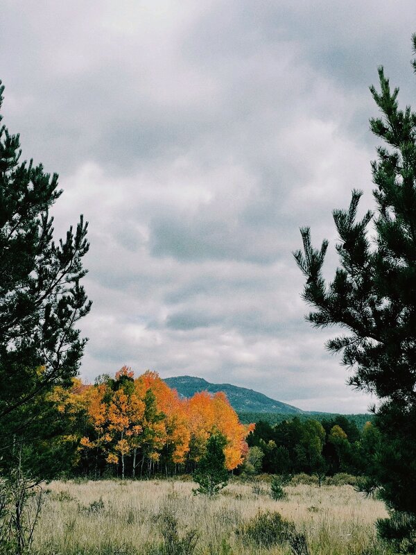 Осенний день - Георгиевич 