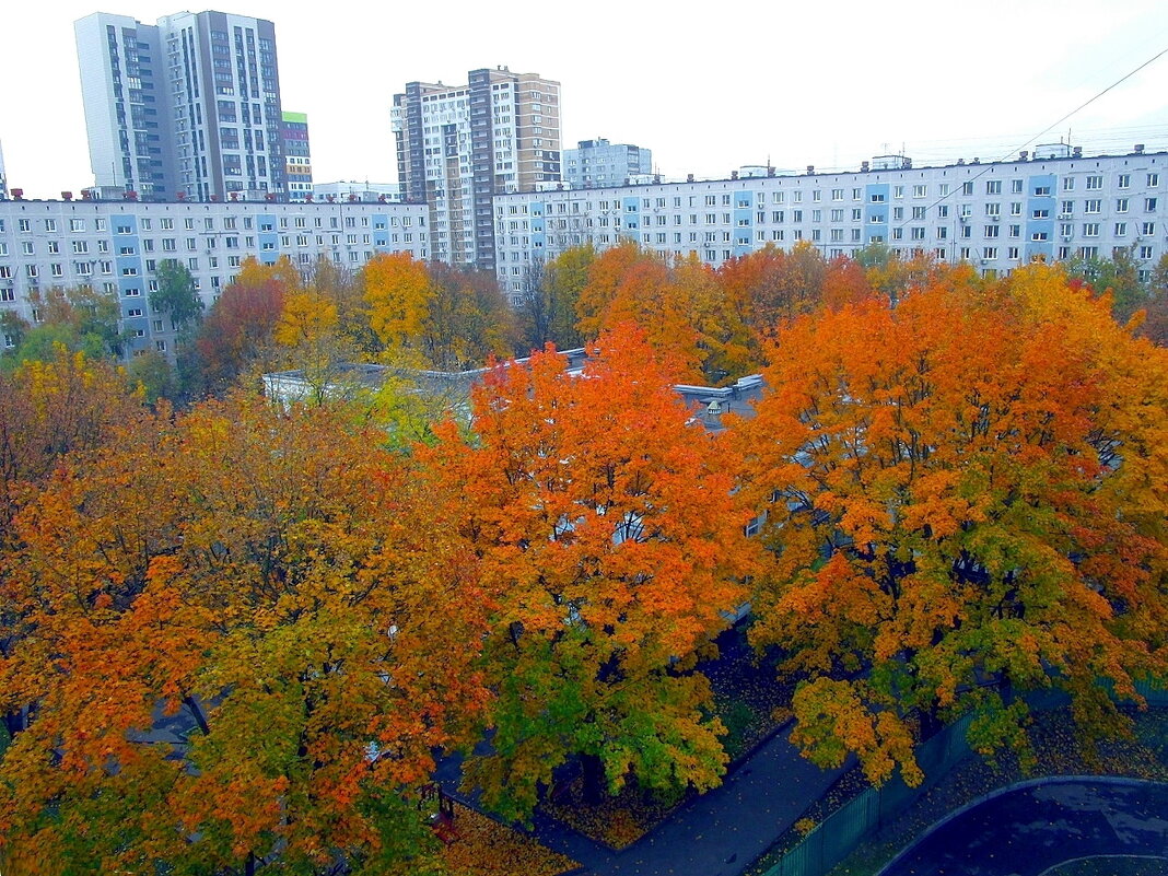 Краски осени - Ольга Довженко