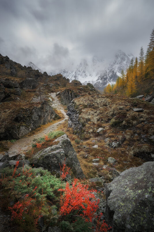 * - Александр Иванов