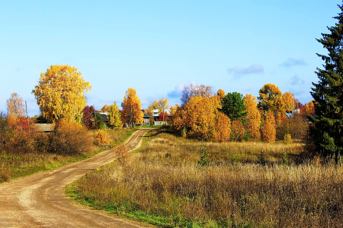 Осенний пейзаж - Александр Щеклеин