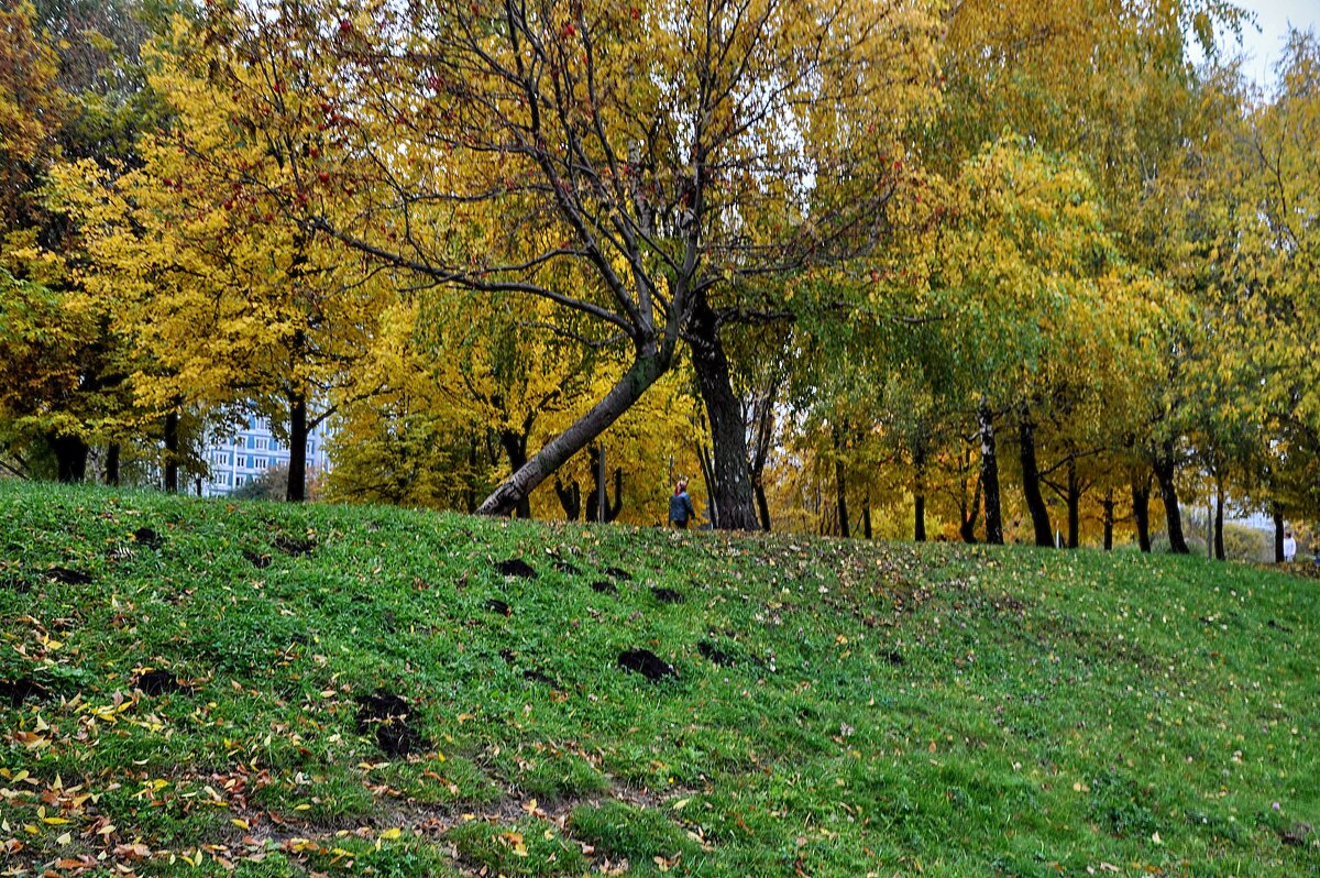 Кроты пришли на зимовку,,,, - Анатолий Колосов
