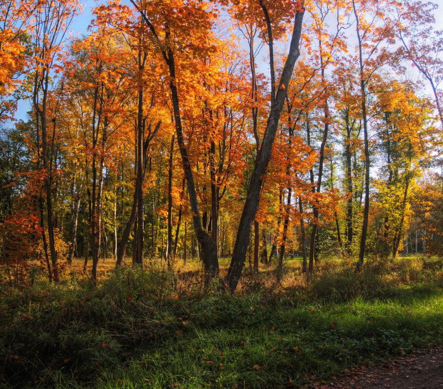 *** - Сергей Григорьев