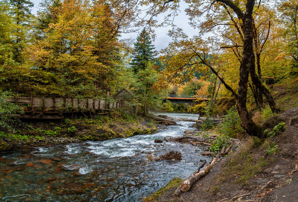 Река Молчепа . Кавказский заповедник кордон "Гузерипль", Адыгея - Дина Евсеева