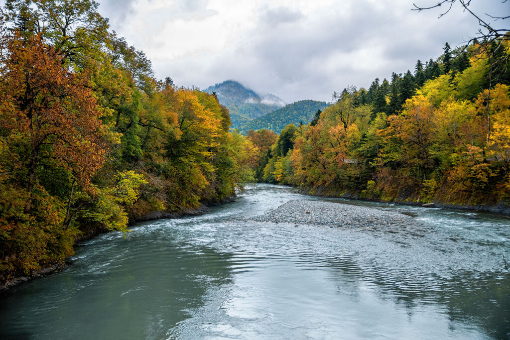 Река Белая . Кавказский заповедник кордон "Гузерипль", Адыгея - Дина Евсеева