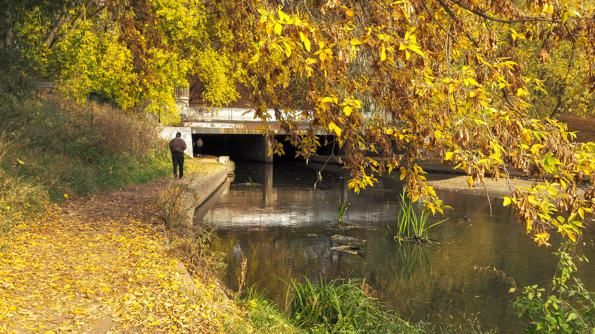 Осенний Сюжет - юрий поляков