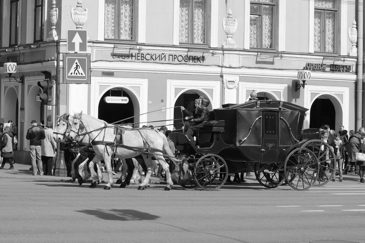 /// - Виктор Никитенко